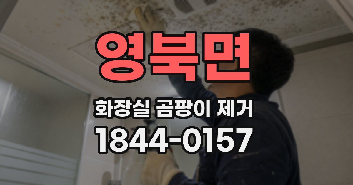 영북면 화장실 곰팡이 제거