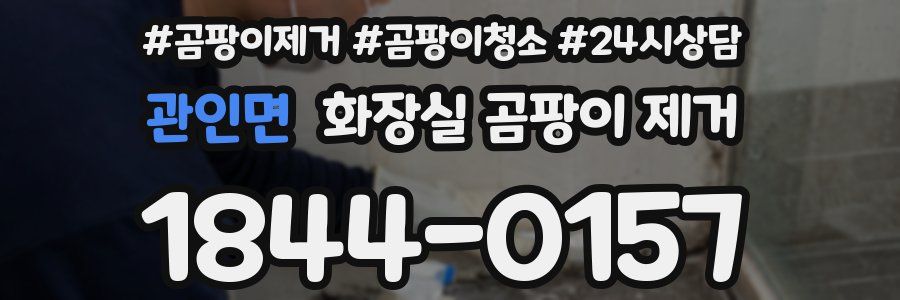 관인면 화장실 곰팡이 제거
