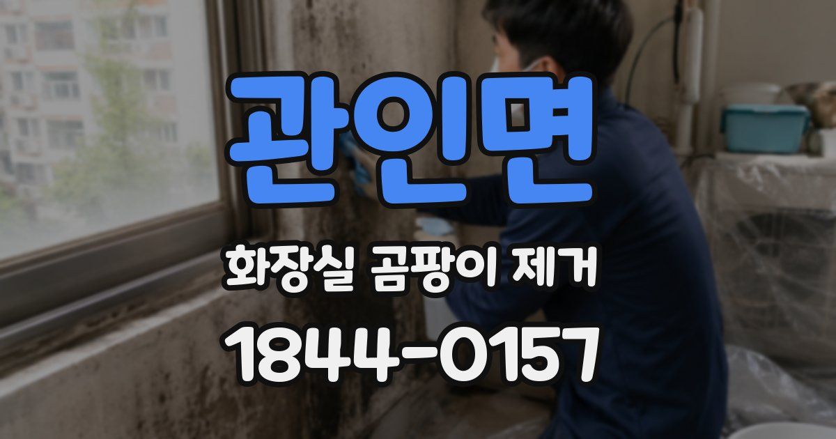 관인면 화장실 곰팡이 제거