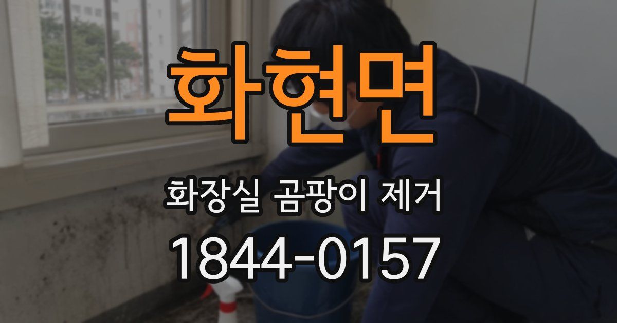 화현면 화장실 곰팡이 제거