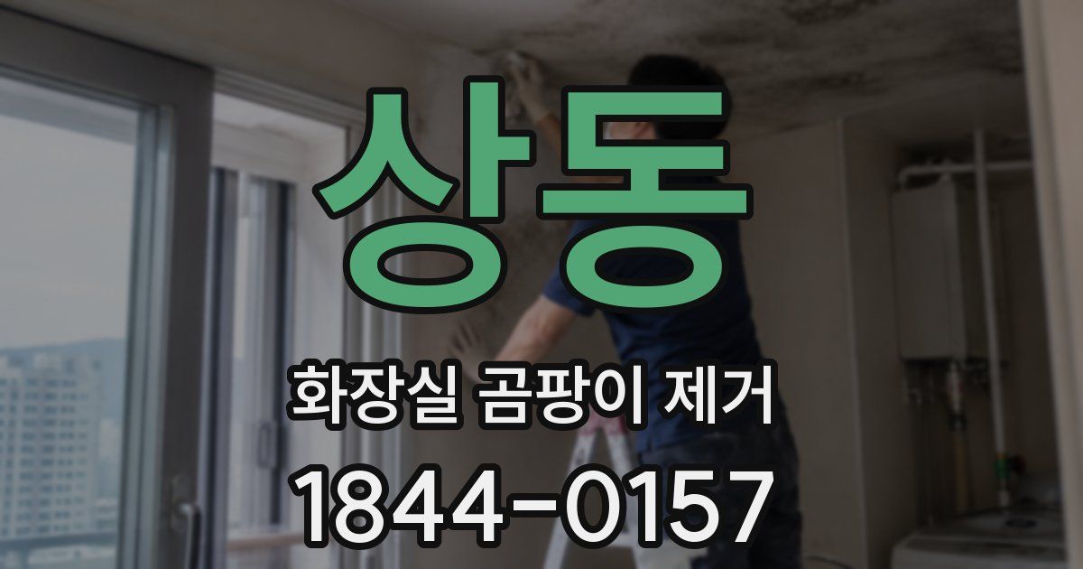 상동 화장실 곰팡이 제거