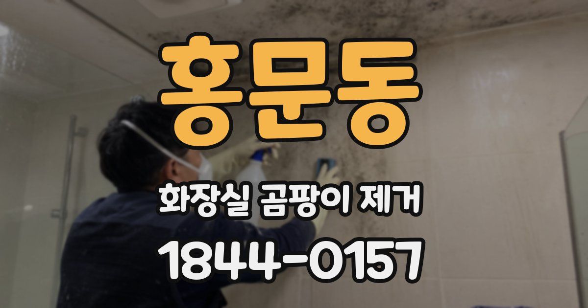 홍문동 화장실 곰팡이 제거