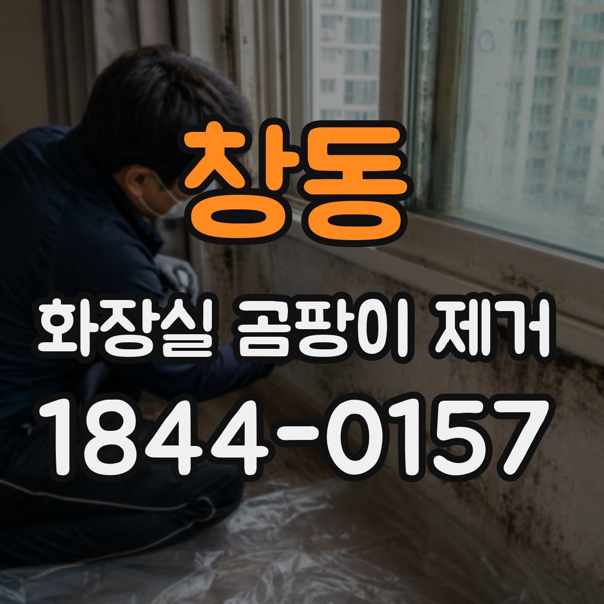 창동 화장실 곰팡이 제거