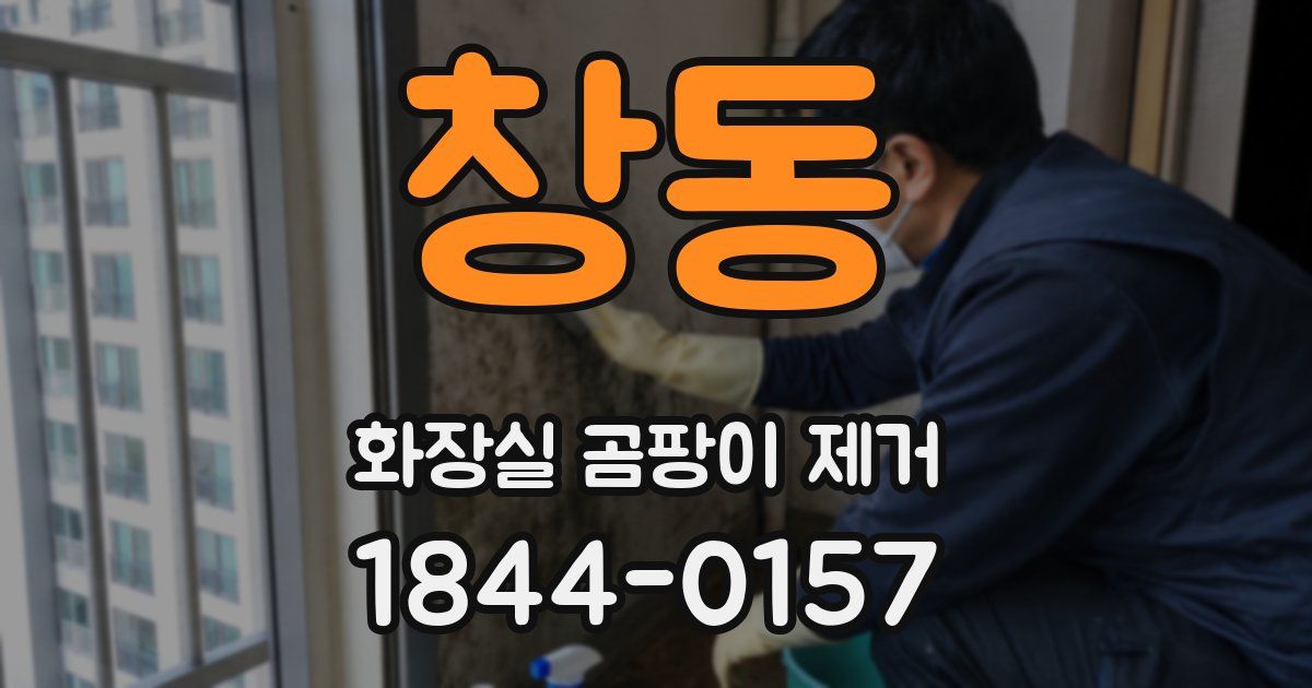 창동 화장실 곰팡이 제거