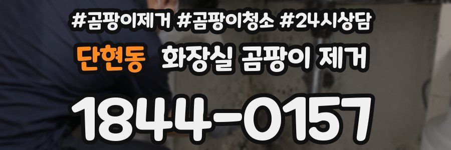 단현동 화장실 곰팡이 제거