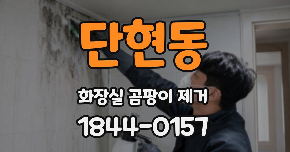 단현동 화장실 곰팡이 제거