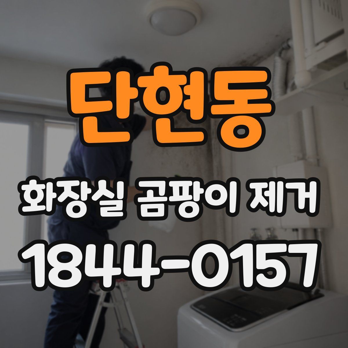 단현동 화장실 곰팡이 제거