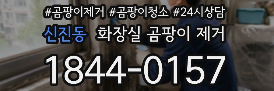 신진동 화장실 곰팡이 제거