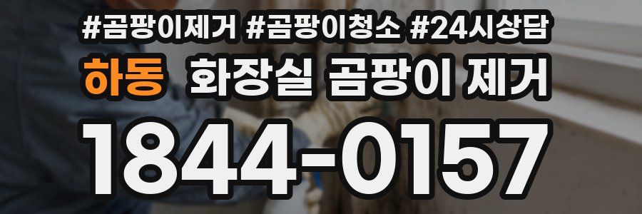 하동 화장실 곰팡이 제거