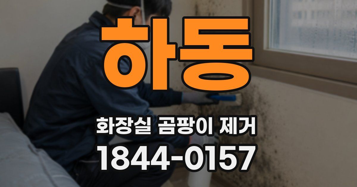 하동 화장실 곰팡이 제거
