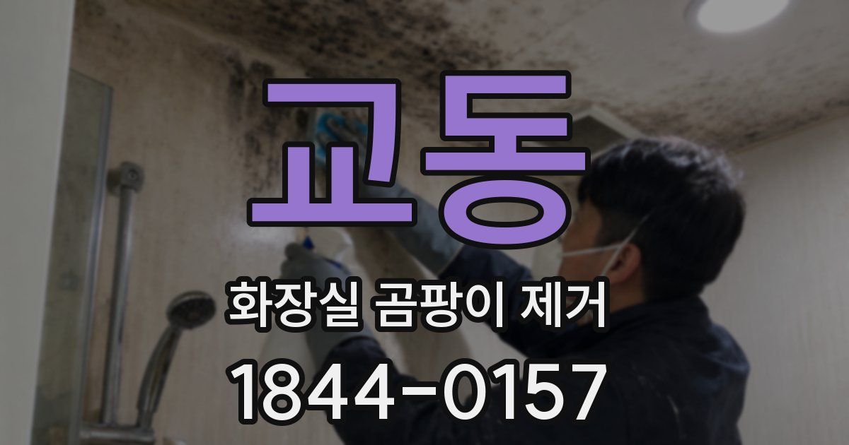 교동 화장실 곰팡이 제거