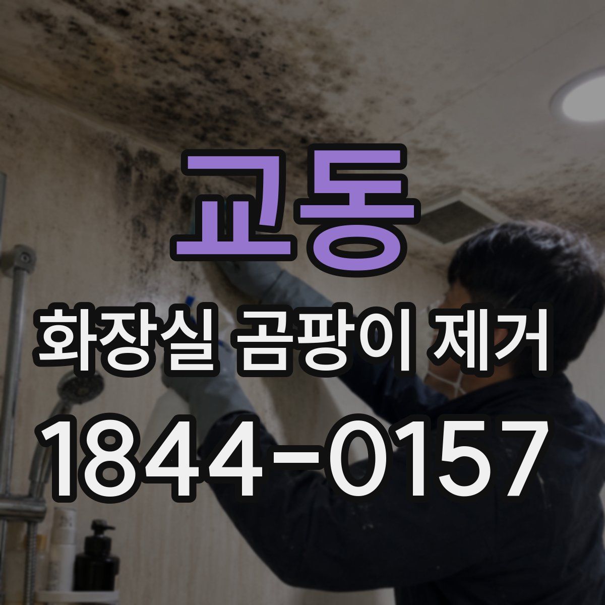 교동 화장실 곰팡이 제거