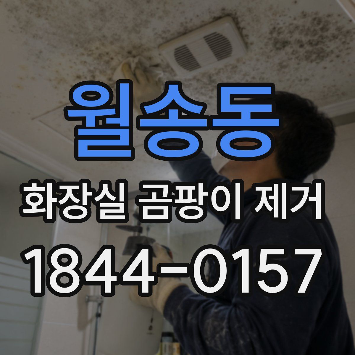 월송동 화장실 곰팡이 제거