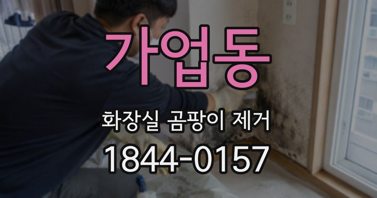 가업동 화장실 곰팡이 제거