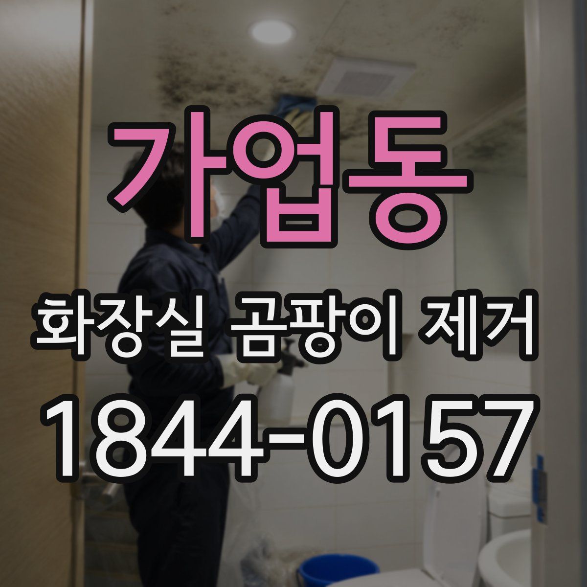 가업동 화장실 곰팡이 제거