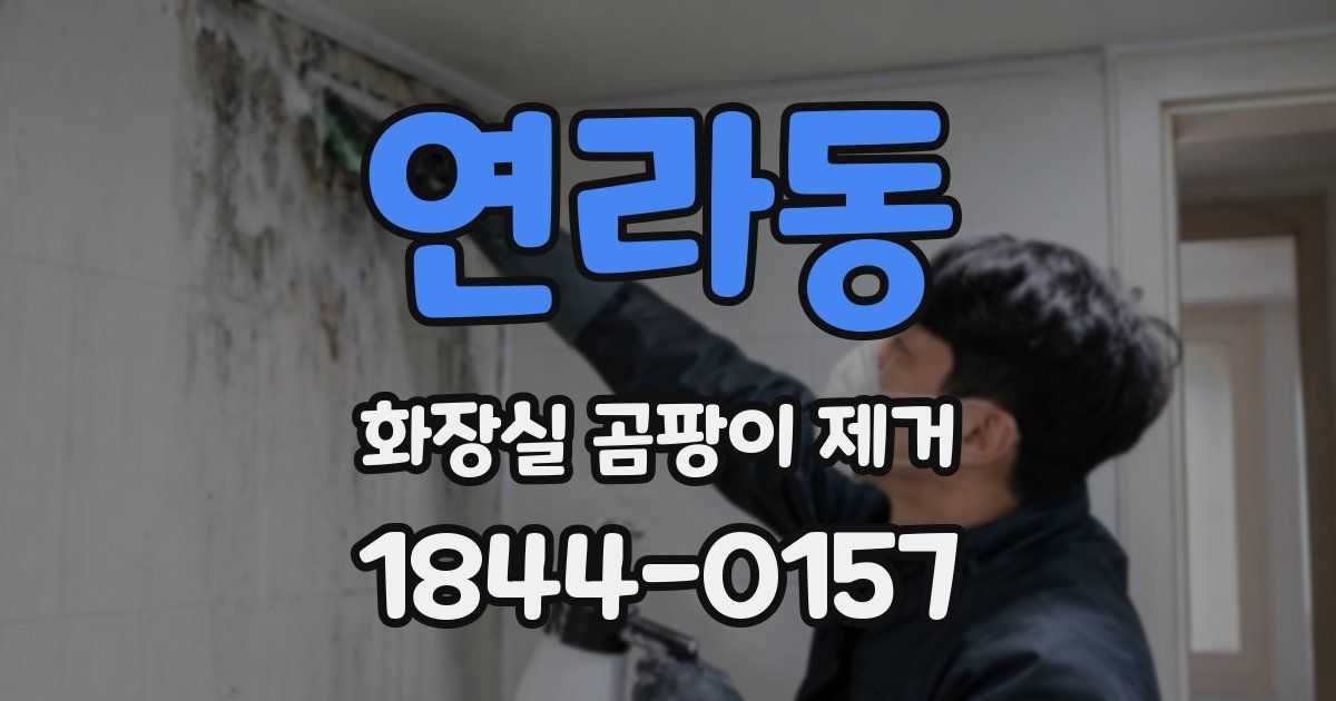 연라동 화장실 곰팡이 제거