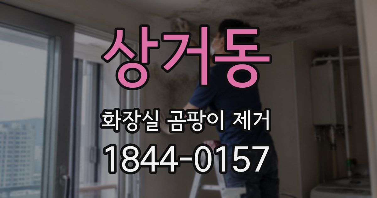 상거동 화장실 곰팡이 제거