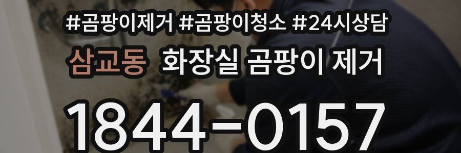 삼교동 화장실 곰팡이 제거