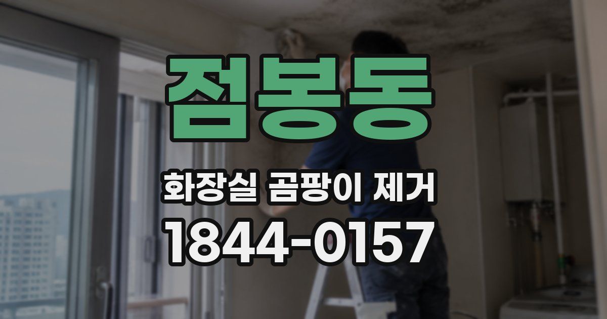 점봉동 화장실 곰팡이 제거
