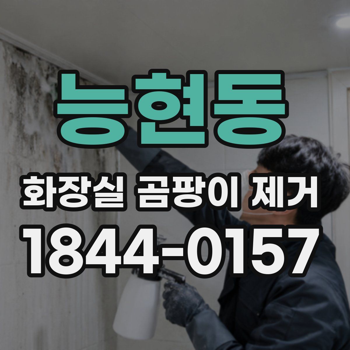 능현동 화장실 곰팡이 제거