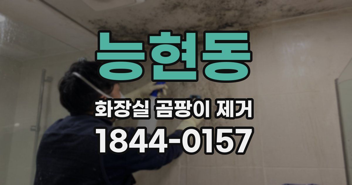 능현동 화장실 곰팡이 제거