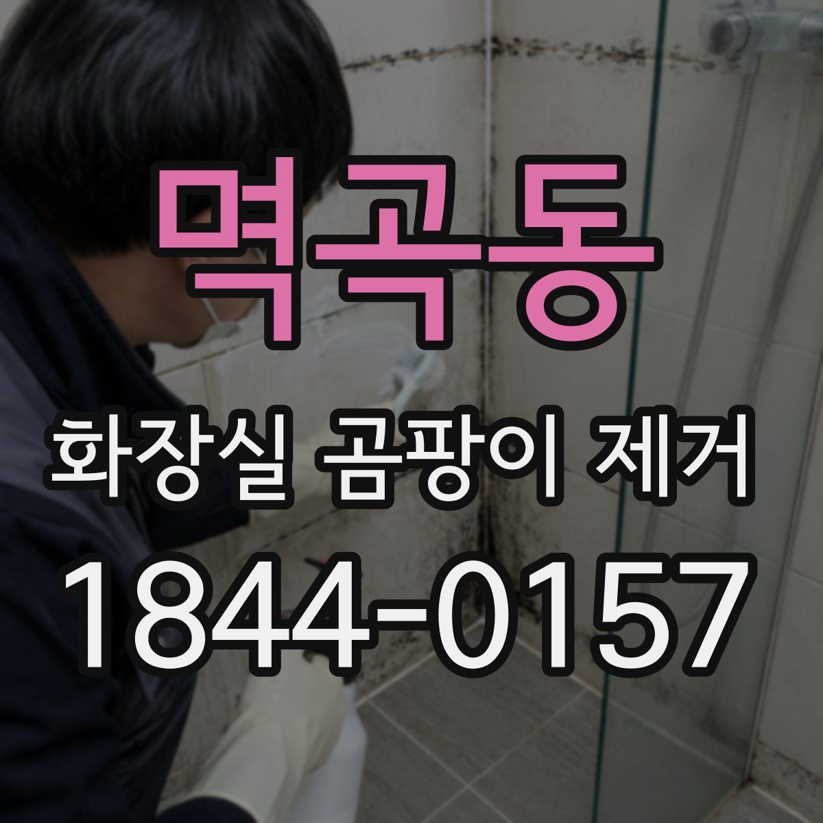 멱곡동 화장실 곰팡이 제거