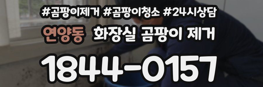 연양동 화장실 곰팡이 제거