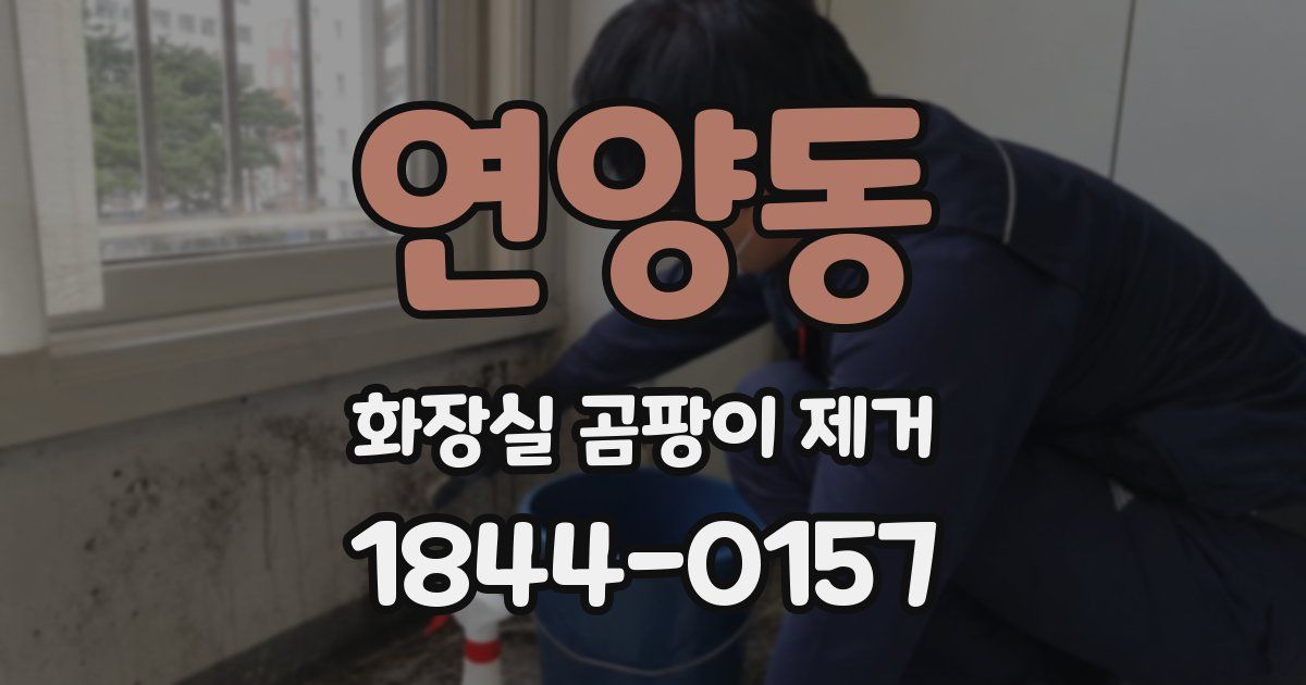 연양동 화장실 곰팡이 제거