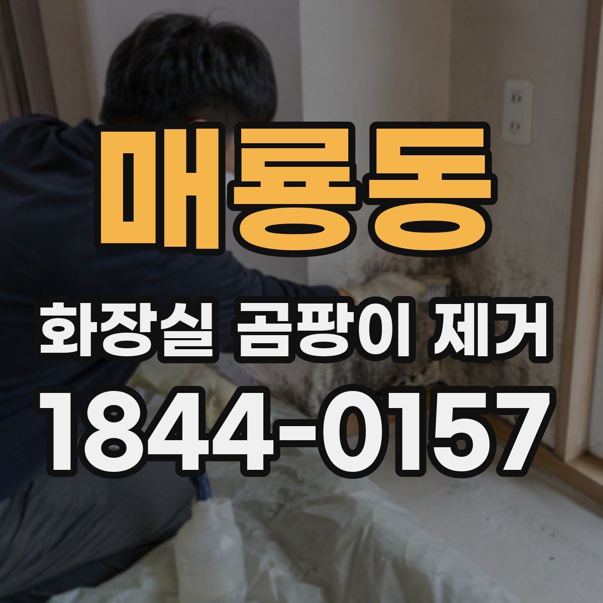 매룡동 화장실 곰팡이 제거
