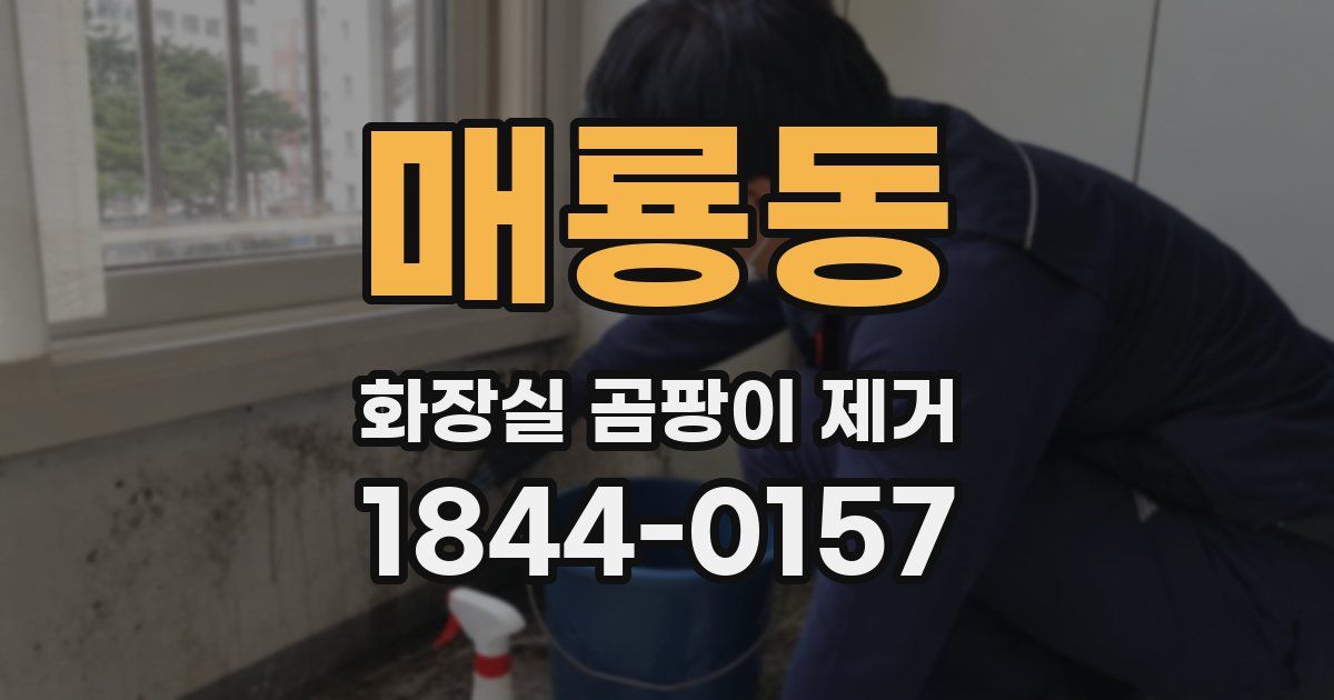 매룡동 화장실 곰팡이 제거