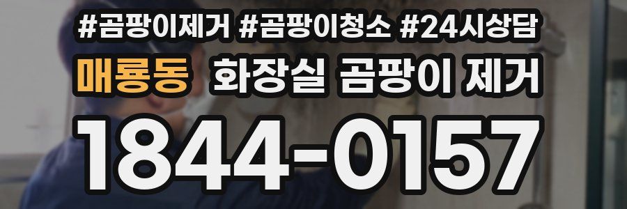 매룡동 화장실 곰팡이 제거