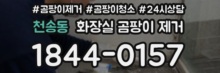 천송동 화장실 곰팡이 제거