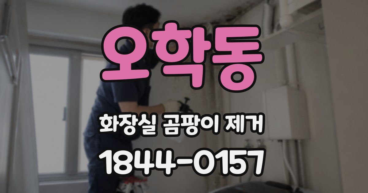 오학동 화장실 곰팡이 제거