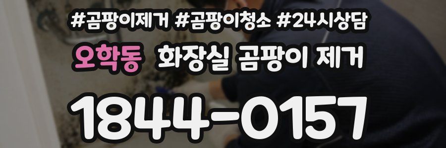 오학동 화장실 곰팡이 제거