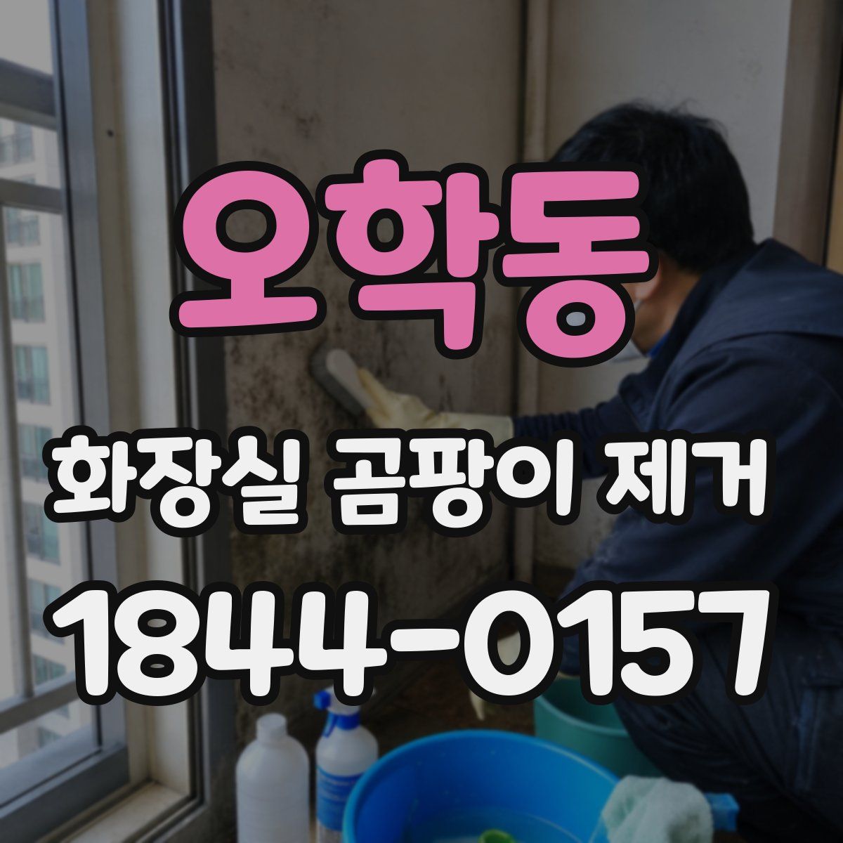 오학동 화장실 곰팡이 제거