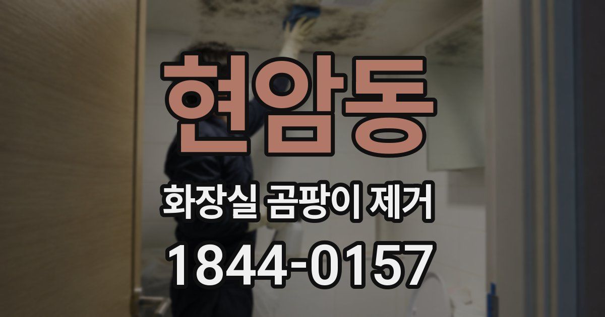 현암동 화장실 곰팡이 제거