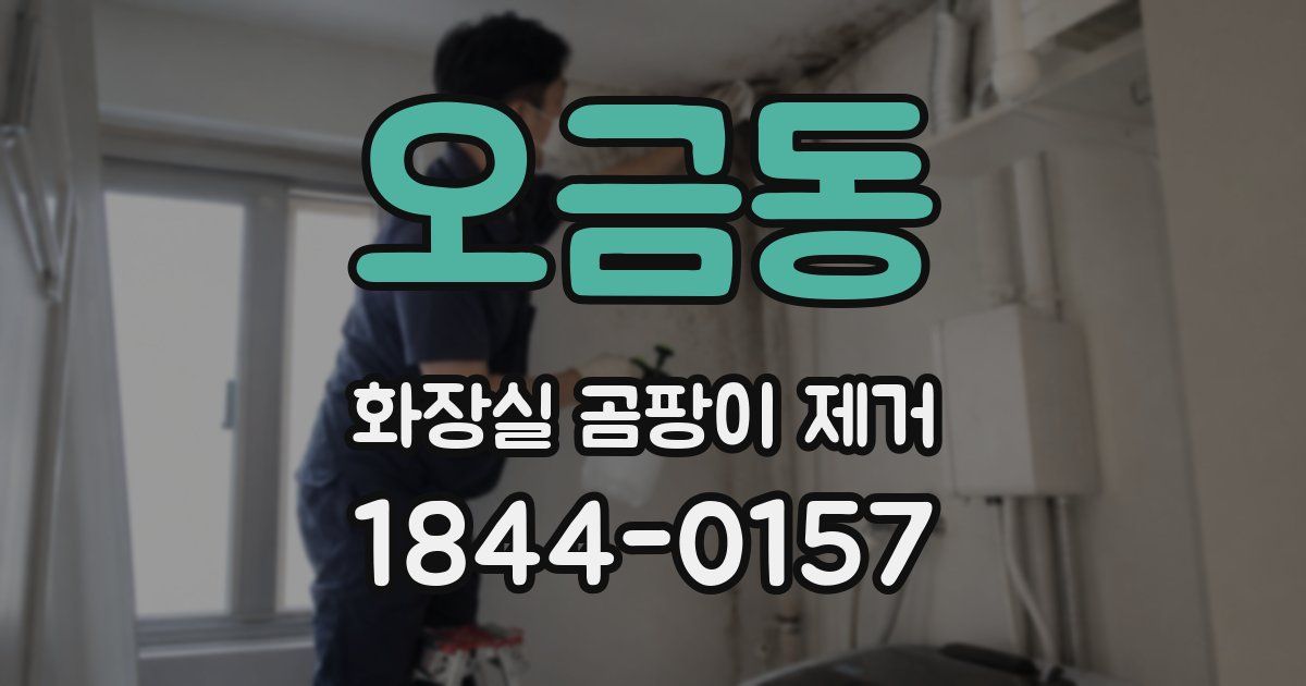 오금동 화장실 곰팡이 제거