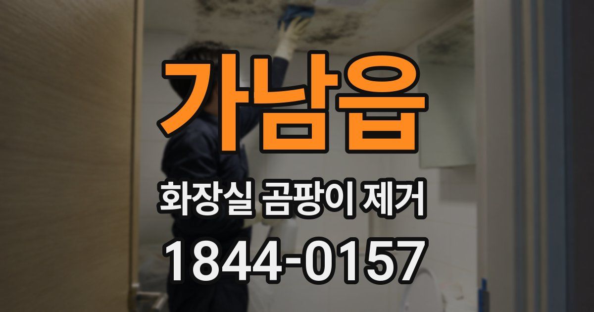 가남읍 화장실 곰팡이 제거