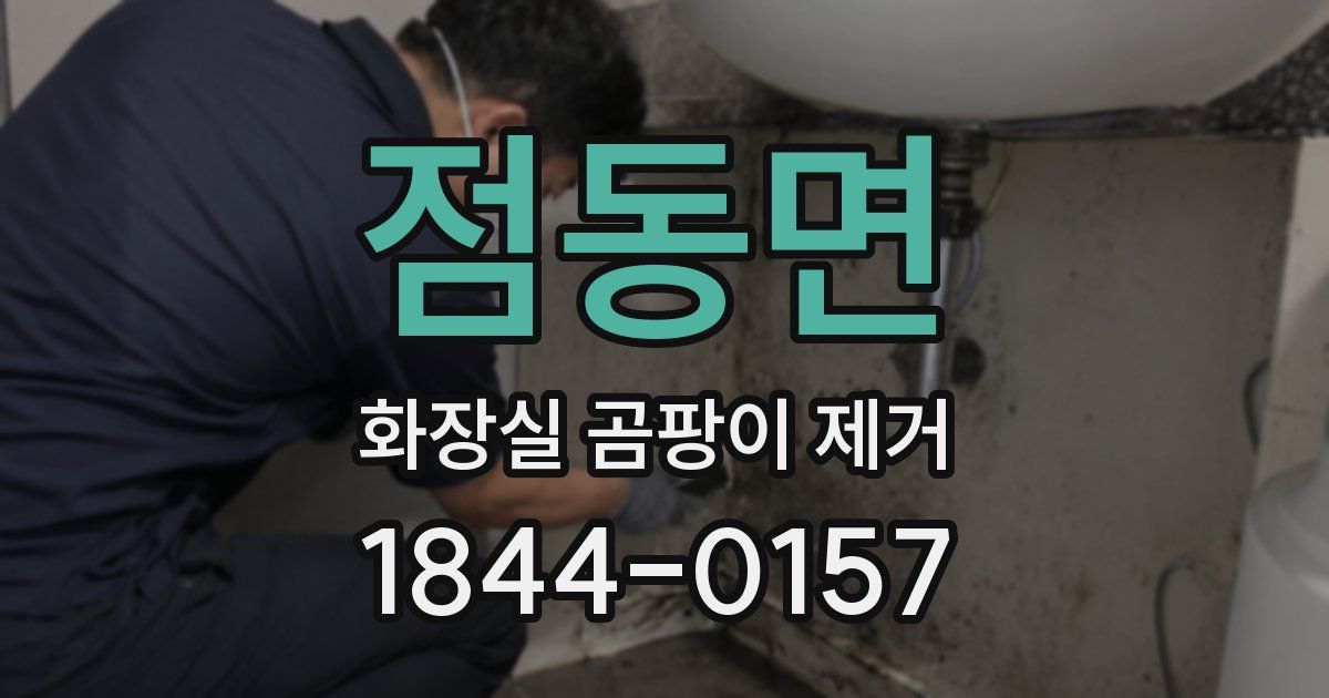 점동면 화장실 곰팡이 제거