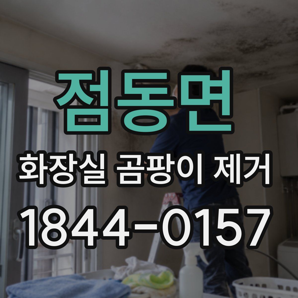 점동면 화장실 곰팡이 제거