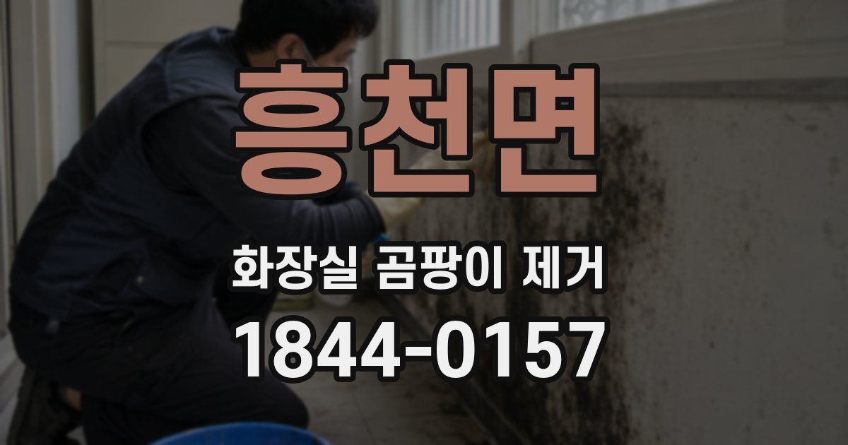 흥천면 화장실 곰팡이 제거