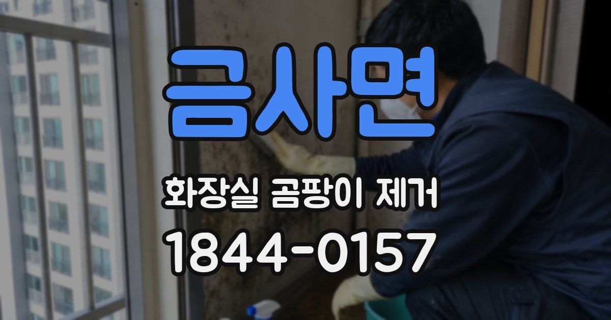 금사면 화장실 곰팡이 제거