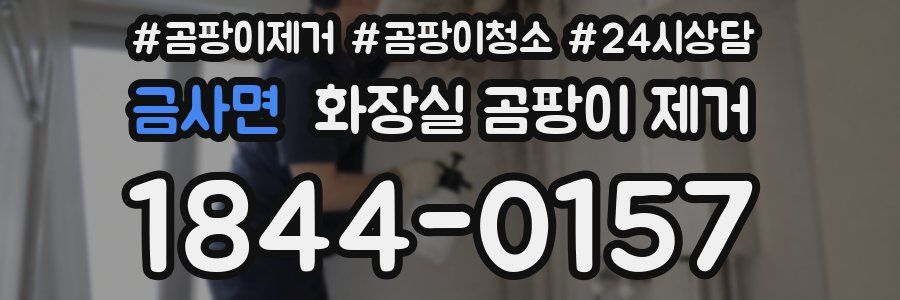 금사면 화장실 곰팡이 제거