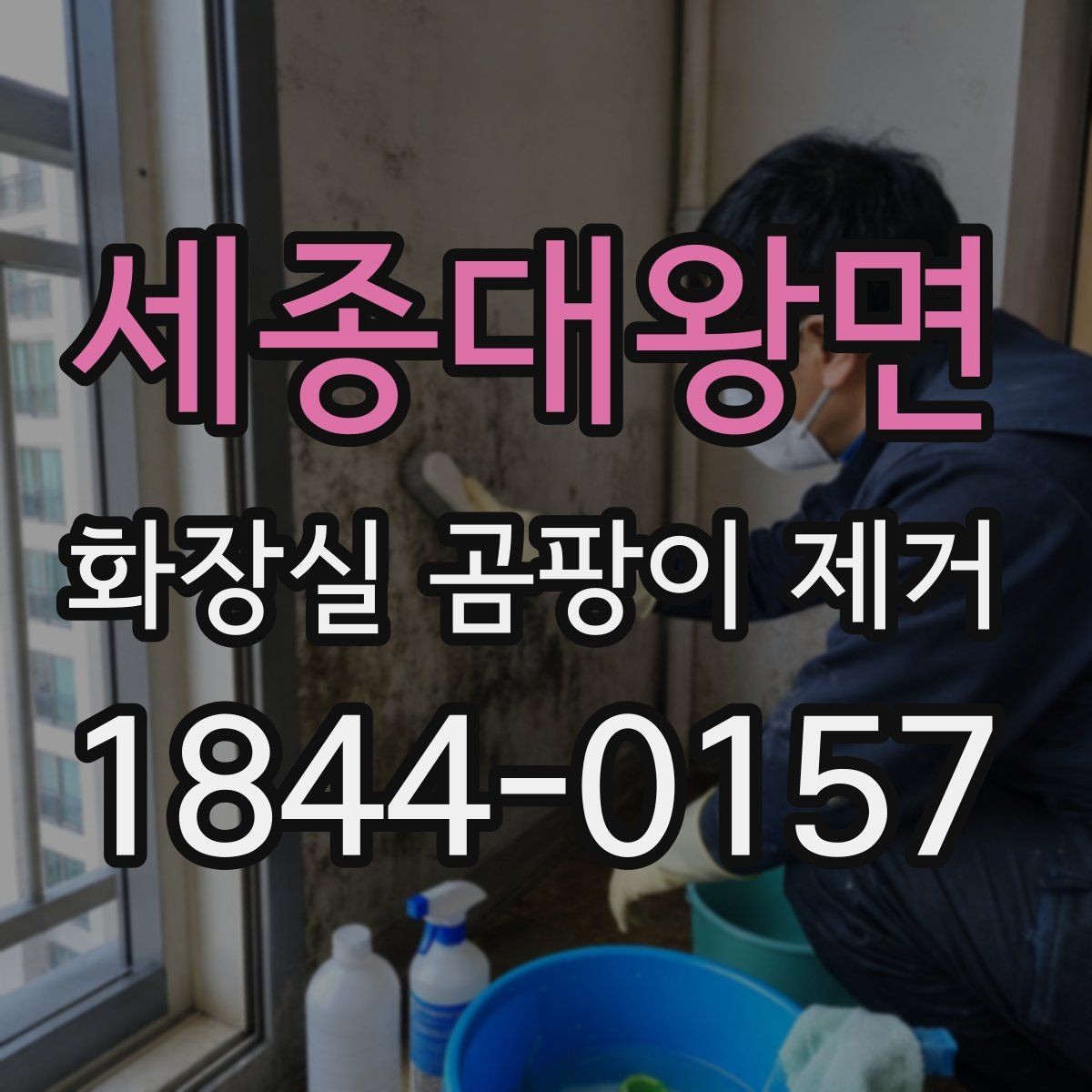 세종대왕면 화장실 곰팡이 제거 오래된 오염이 쉽게 남는 욕실 환경