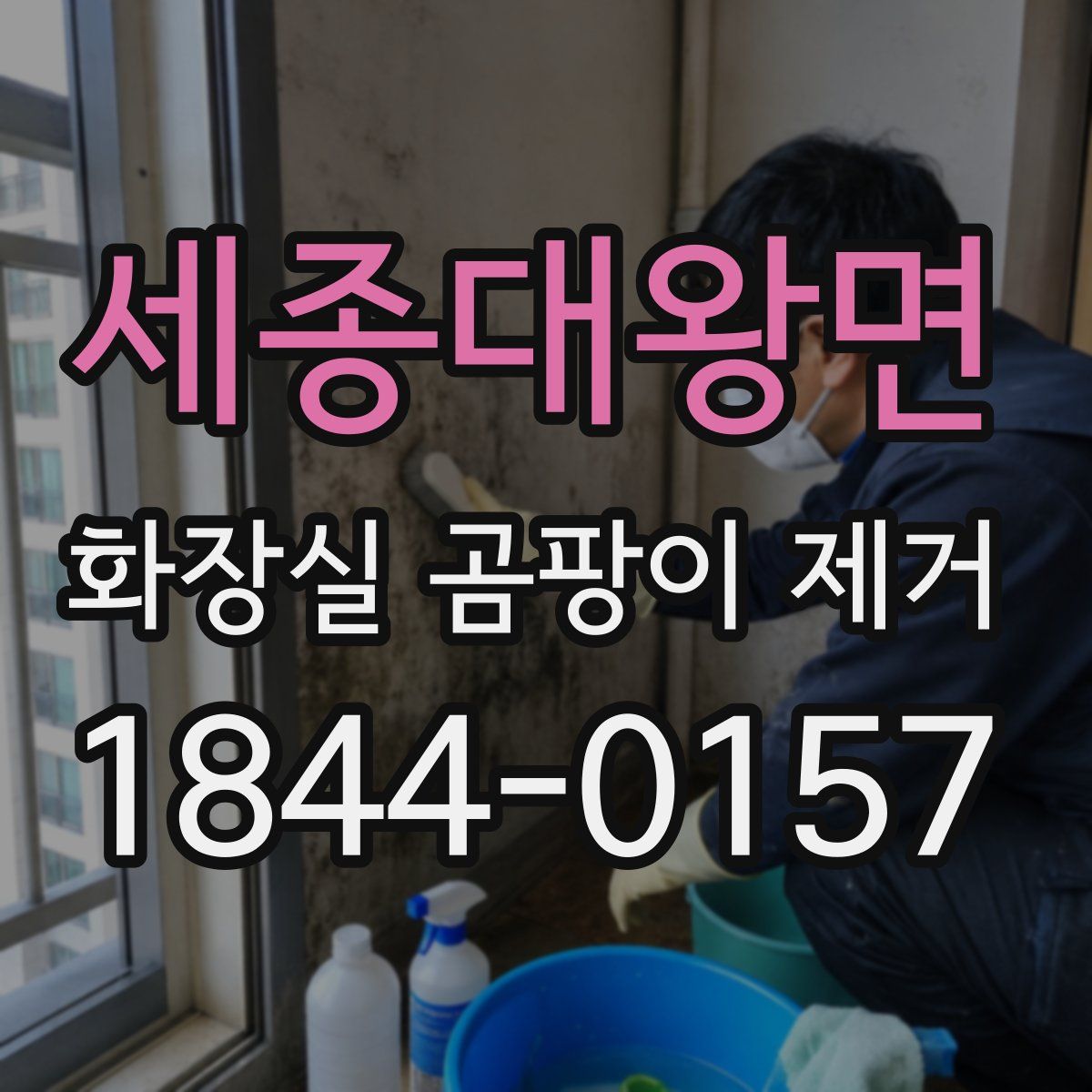 세종대왕면 화장실 곰팡이 제거