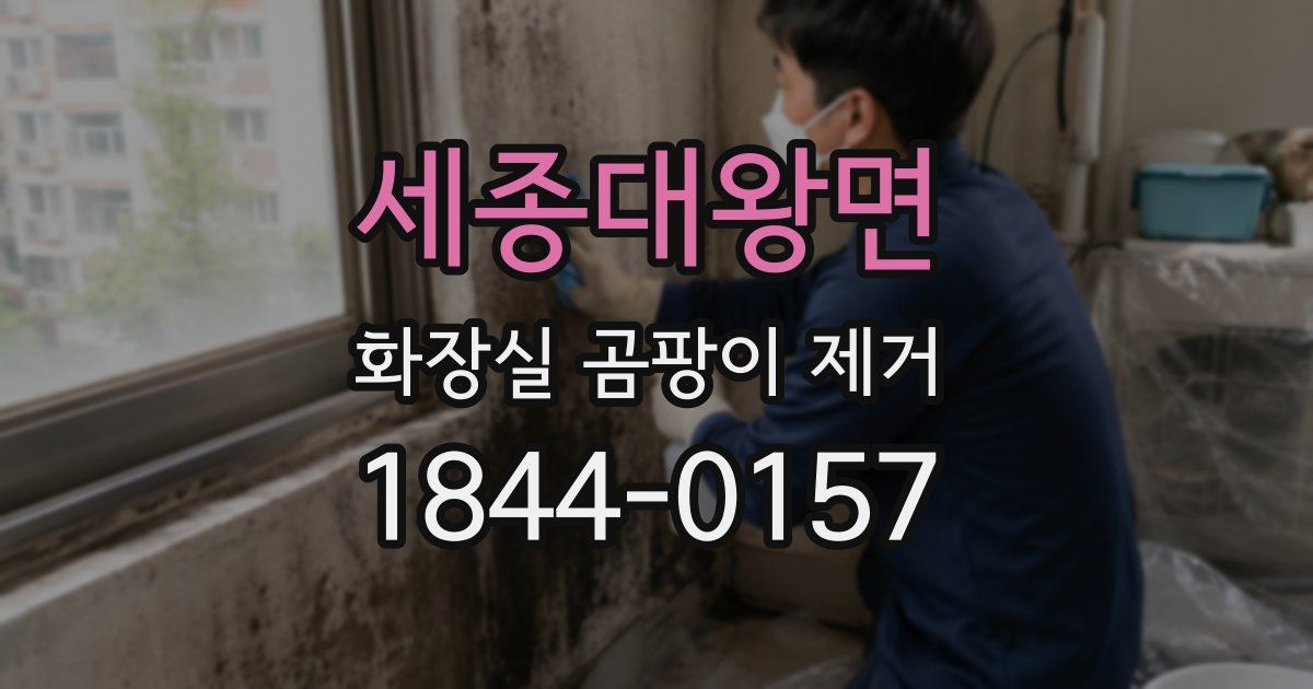 세종대왕면 화장실 곰팡이 제거