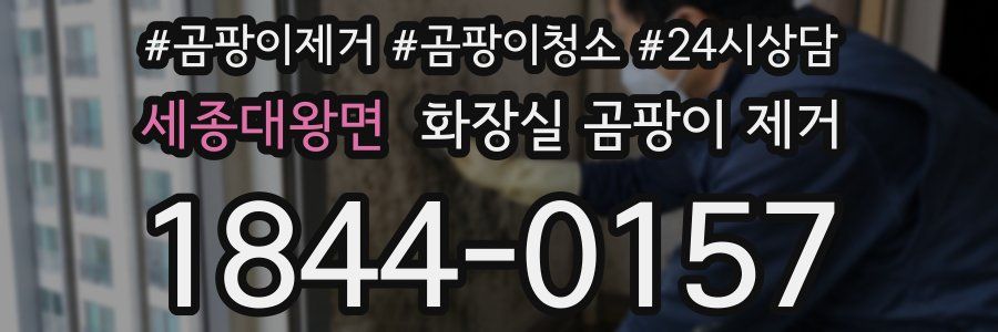 세종대왕면 화장실 곰팡이 제거