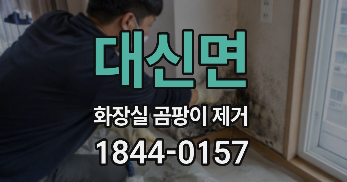 대신면 화장실 곰팡이 제거