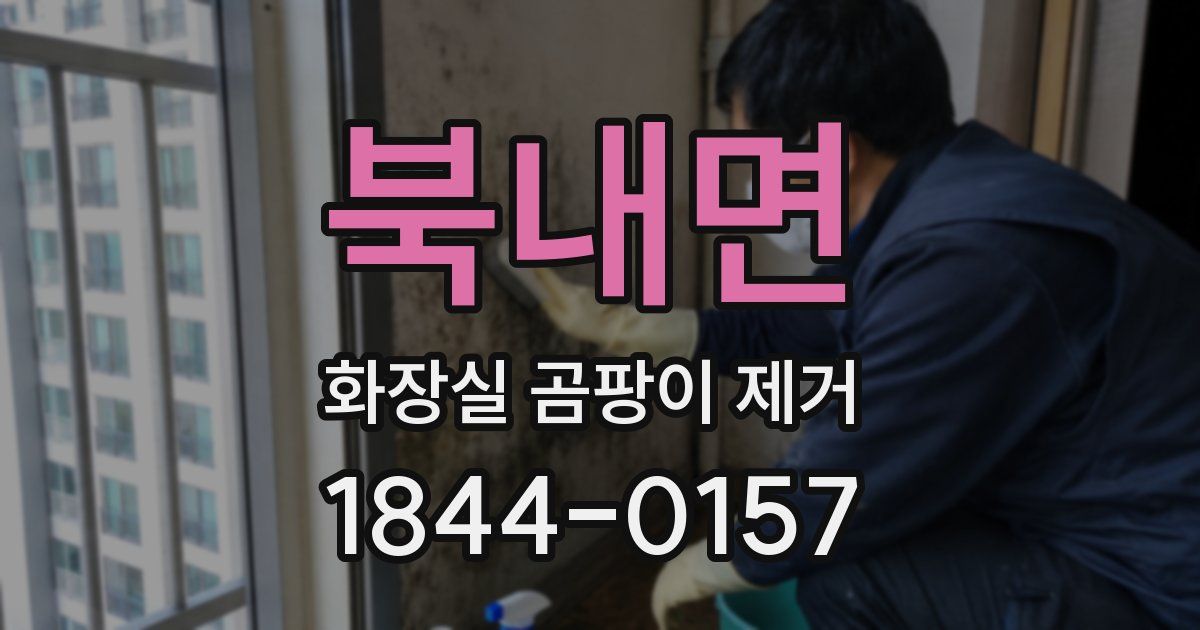 북내면 화장실 곰팡이 제거