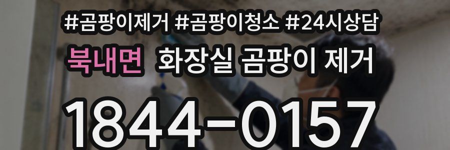 북내면 화장실 곰팡이 제거